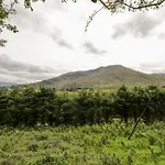 펜션 The Thatched Liscarney