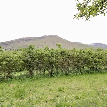 The Thatched Vakantiehuis