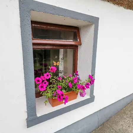 The Thatched * Liscarney