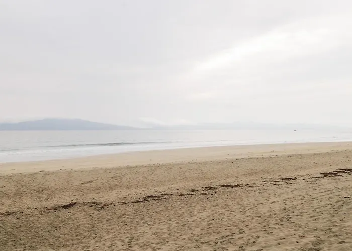 The Thatched Hébergement de vacances *