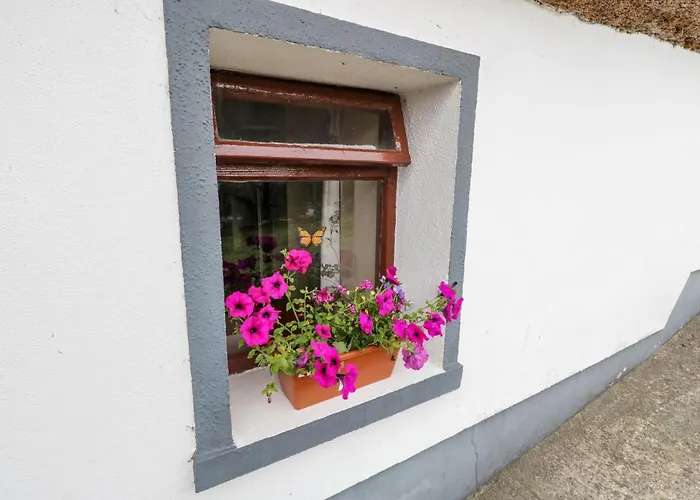 The Thatched * Liscarney