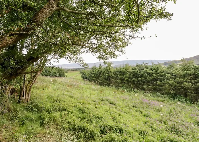 The Thatched Liscarney