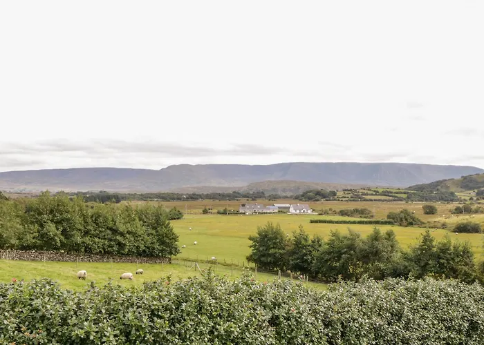 The Thatched Hébergement de vacances